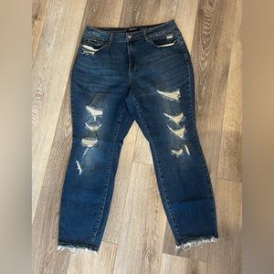 Judy Blues Boyfriend Fit Size 18W